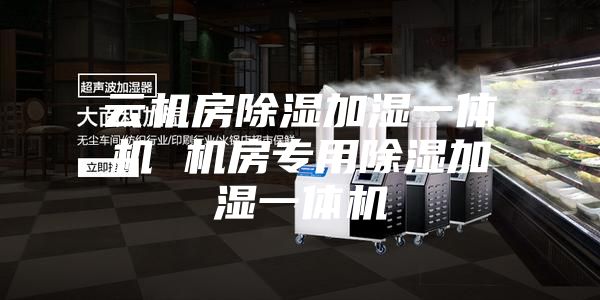 云机房除湿加湿一体机 机房专用除湿加湿一体机