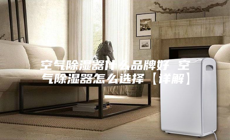 空气除湿器什么品牌好 空气除湿器怎么选择【详解】