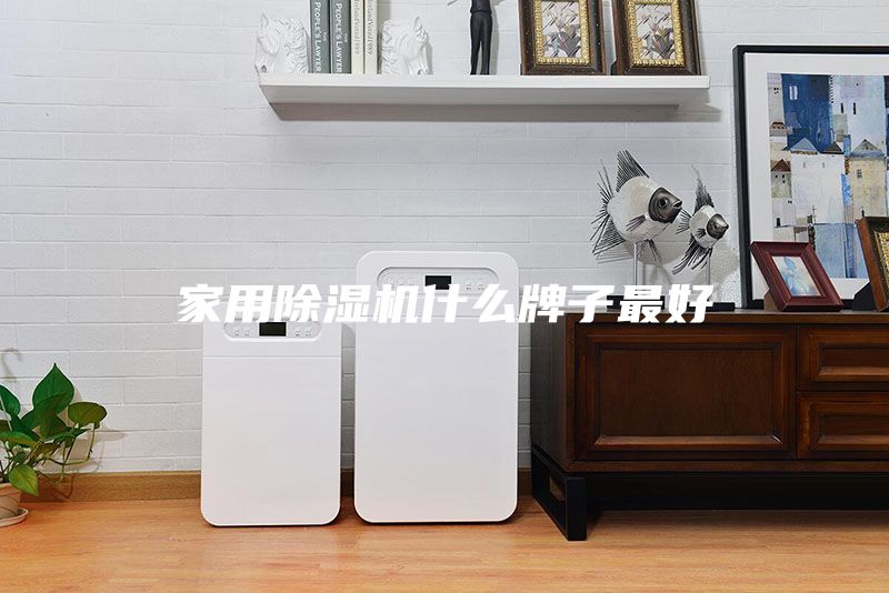 家用除湿机什么牌子最好