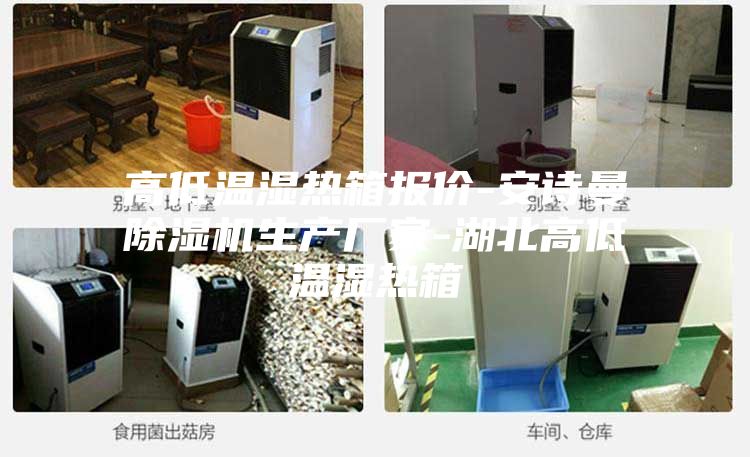 高低温湿热箱报价-安诗曼除湿机生产厂家-湖北高低温湿热箱