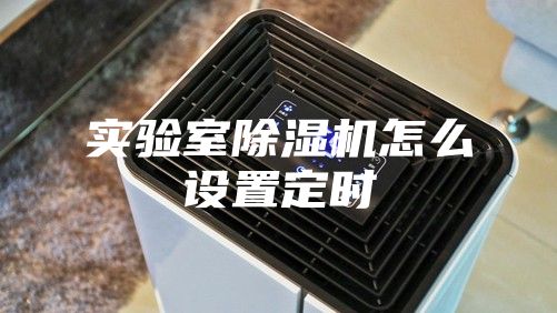 实验室除湿机怎么设置定时