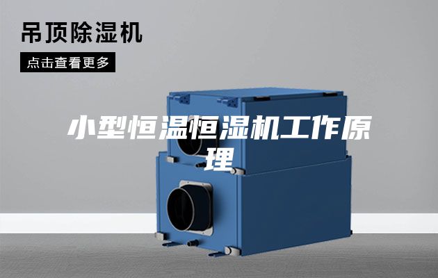 小型恒温恒湿机工作原理