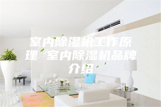 室内除湿机工作原理 室内除湿机品牌介绍