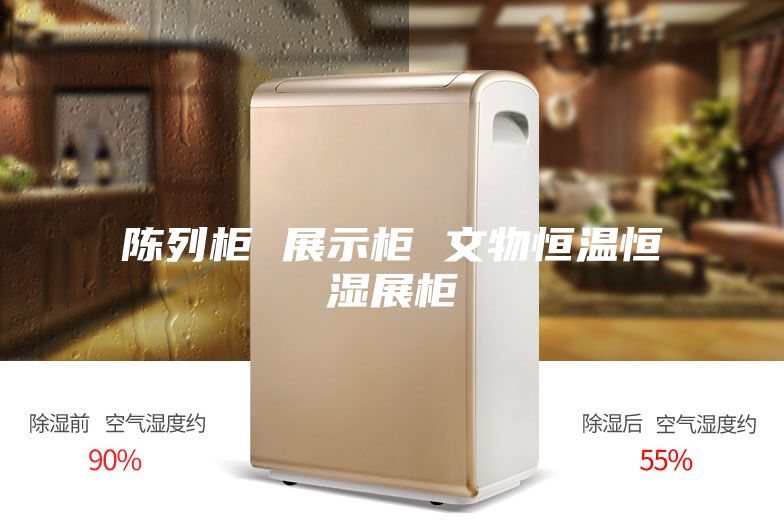 陈列柜 展示柜 文物恒温恒湿展柜