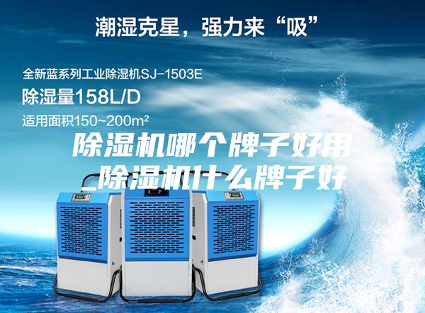 除湿机哪个牌子好用_除湿机什么牌子好