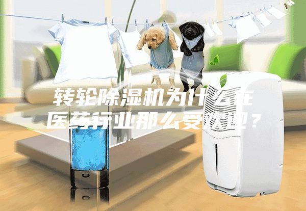 转轮除湿机为什么在医药行业那么受欢迎？