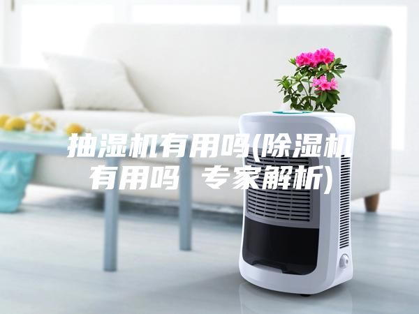 抽湿机有用吗(除湿机有用吗 专家解析)