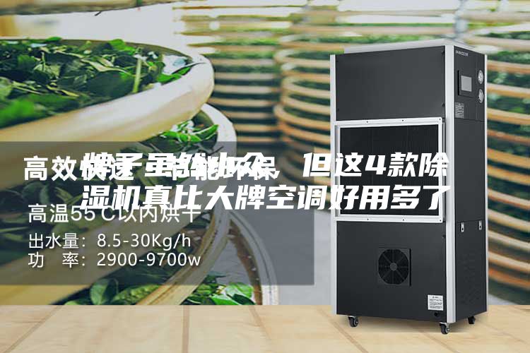 牌子虽然小众，但这4款除湿机真比大牌空调好用多了