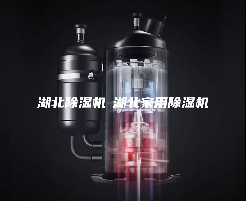 湖北除湿机◆湖北家用除湿机