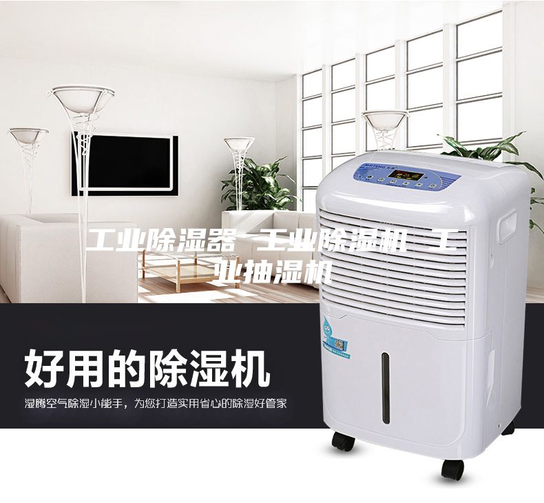 工业除湿器 工业除湿机 工业抽湿机