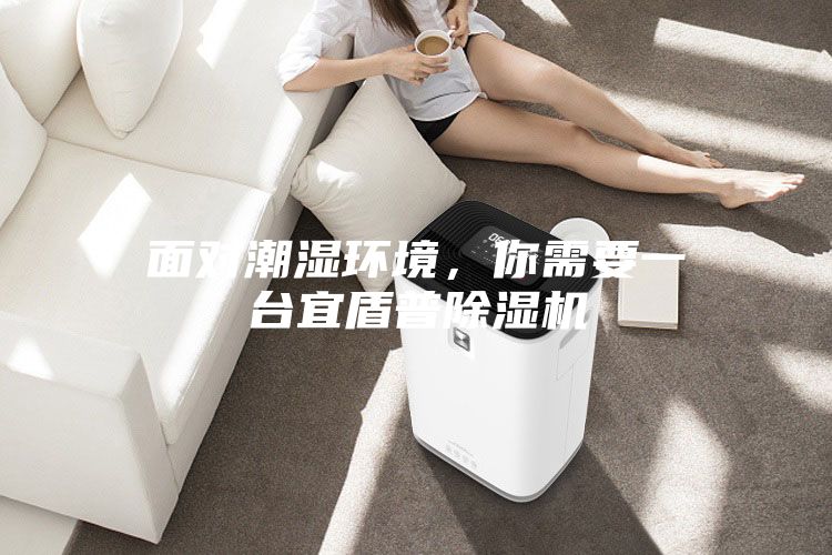 面对潮湿环境,你需要一台宜盾普除湿机