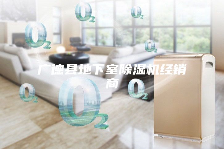 广德县地下室除湿机经销商