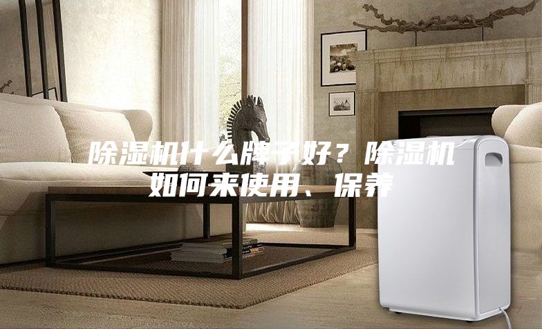 除湿机什么牌子好？除湿机如何来使用、保养