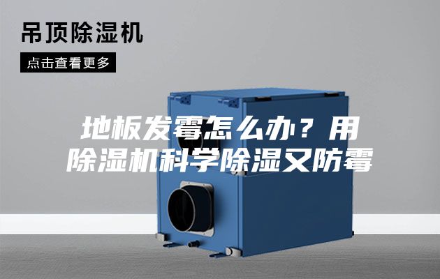 地板发霉怎么办？用除湿机科学除湿又防霉