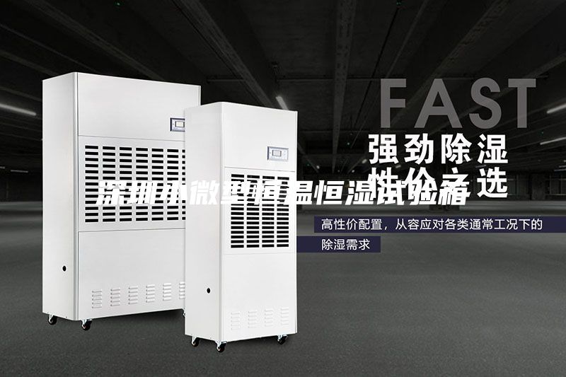 深圳小微型恒温恒湿试验箱