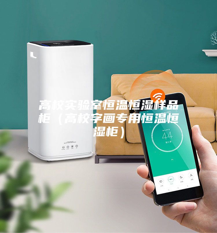 高校实验室恒温恒湿样品柜（高校字画专用恒温恒湿柜）