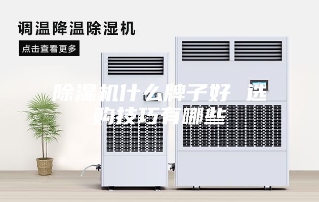 除湿机什么牌子好 选购技巧有哪些