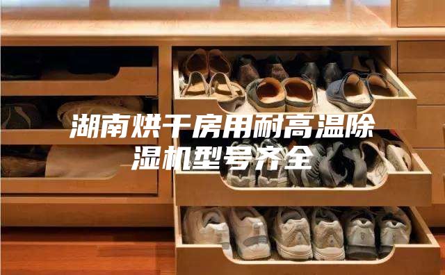 湖南烘干房用耐高温除湿机型号齐全