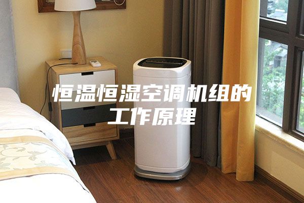 恒温恒湿空调机组的工作原理