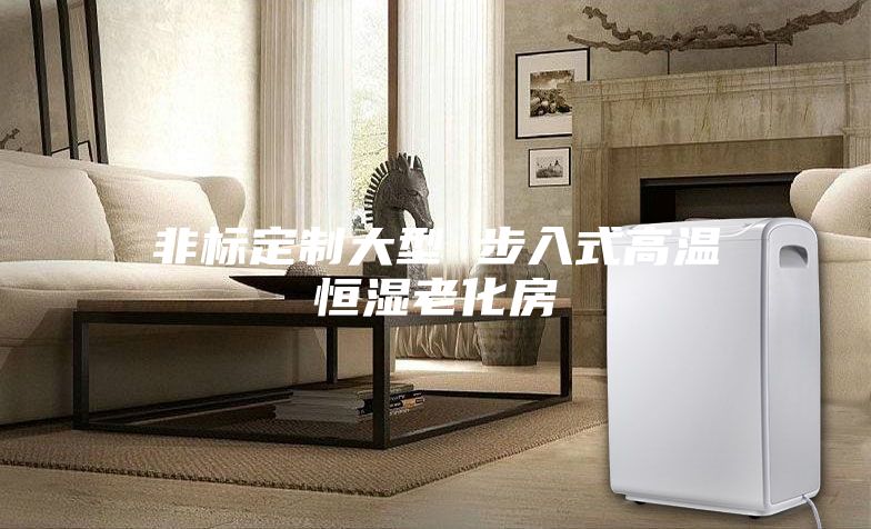 非标定制大型 步入式高温恒湿老化房
