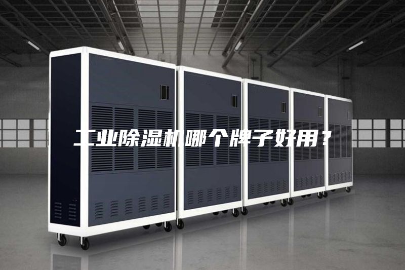 工业除湿机哪个牌子好用？