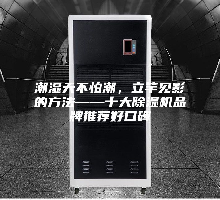 潮湿天不怕潮，立竿见影的方法——十大除湿机品牌推荐好口碑
