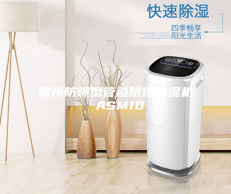常州防爆型管道防爆除湿机 ASM10