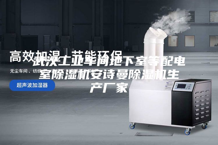 武汉工业车间地下室等配电室除湿机安诗曼除湿机生产厂家