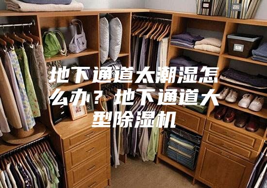 地下通道太潮湿怎么办？地下通道大型除湿机