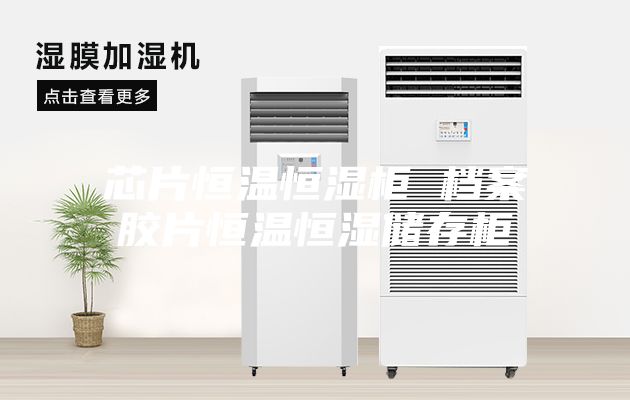 芯片恒温恒湿柜 档案胶片恒温恒湿储存柜