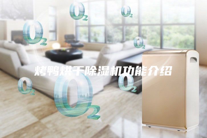 烤鸭烘干除湿机功能介绍
