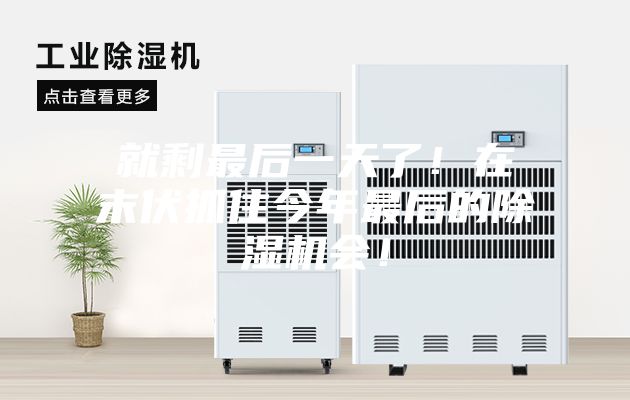 就剩最后一天了！在末伏抓住今年最后的除湿机会！
