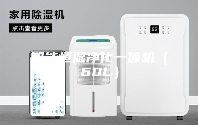 智能恒湿净化一体机（60L）