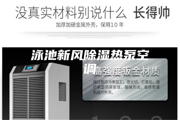 泳池新风除湿热泵空调