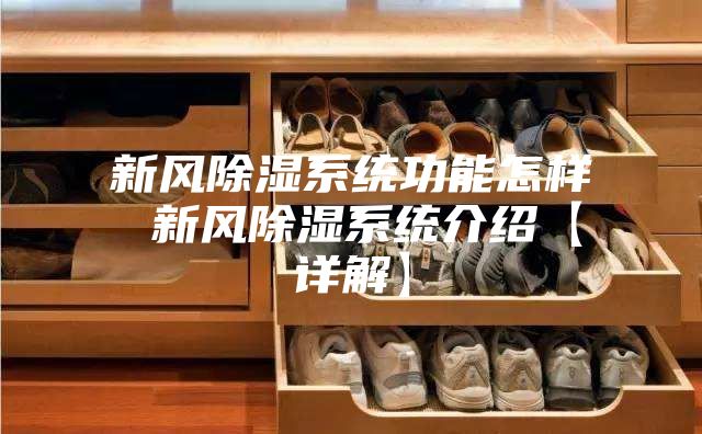新风除湿系统功能怎样 新风除湿系统介绍【详解】