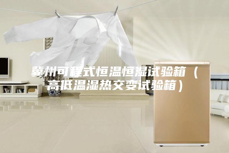 冀州可程式恒温恒湿试验箱（高低温湿热交变试验箱）