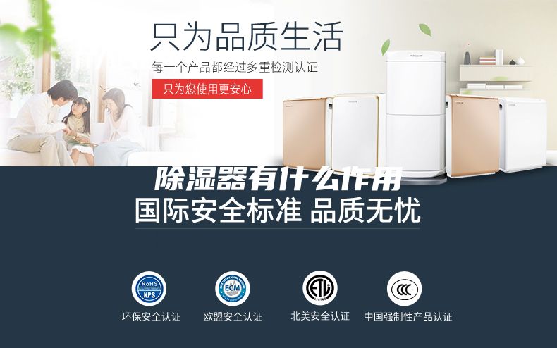 除湿器有什么作用