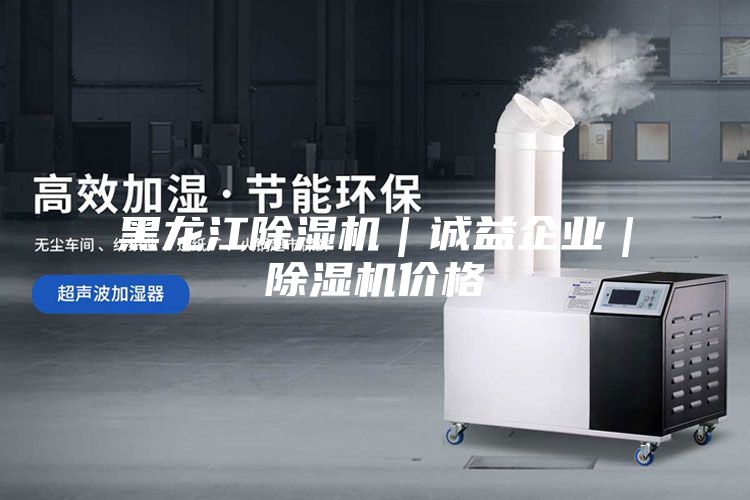 黑龙江除湿机｜诚益企业｜除湿机价格
