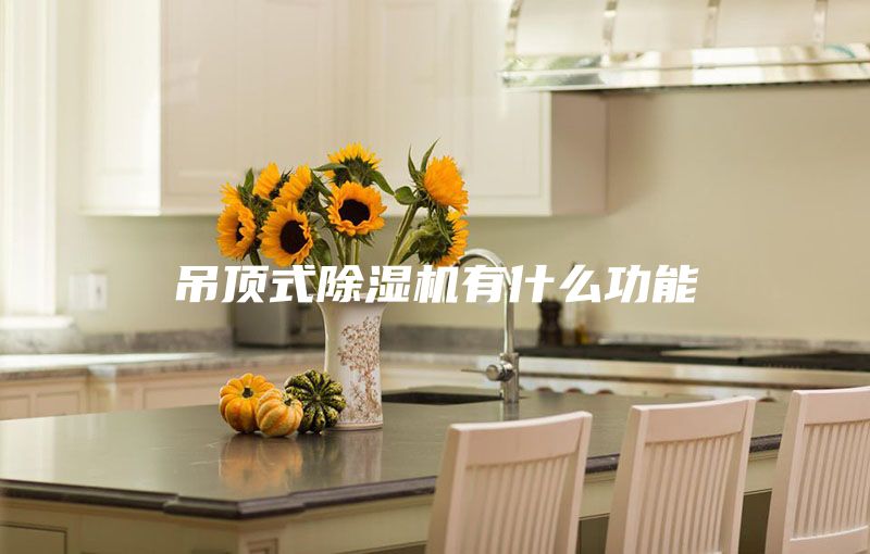 吊顶式除湿机有什么功能