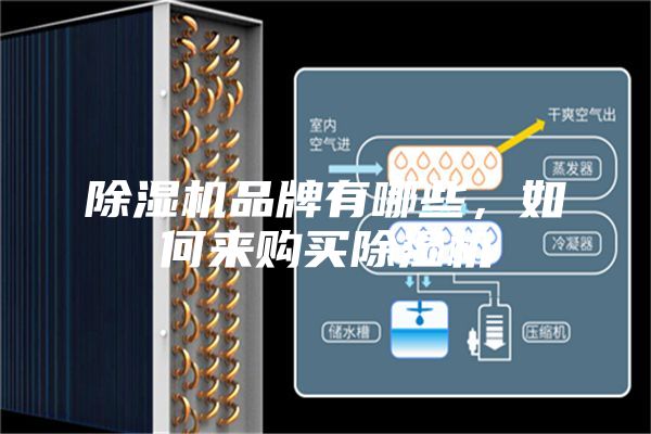 除湿机品牌有哪些，如何来购买除湿机