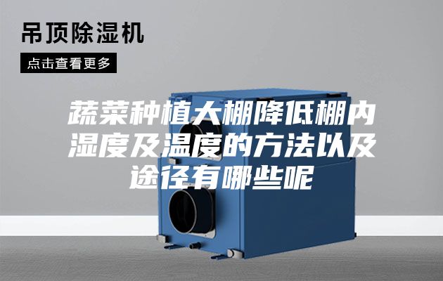 蔬菜种植大棚降低棚内湿度及温度的方法以及途径有哪些呢