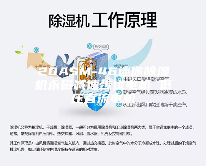 20ASM-46迷你除湿机永磁减速步进电机 低压直流电机