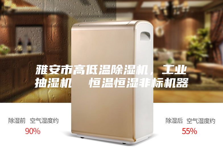 雅安市高低温除湿机，工业抽湿机  恒温恒湿非标机器