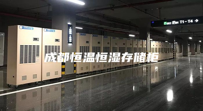 成都恒温恒湿存储柜