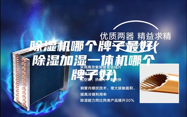 除湿机哪个牌子最好(除湿加湿一体机哪个牌子好)