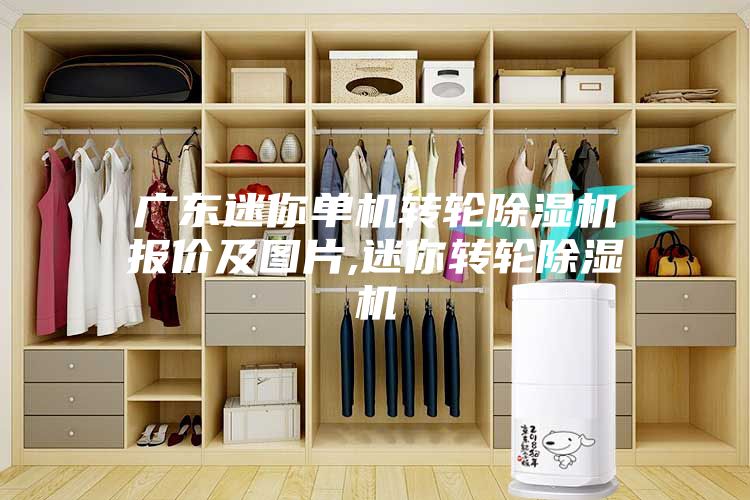 广东迷你单机转轮除湿机报价及图片,迷你转轮除湿机