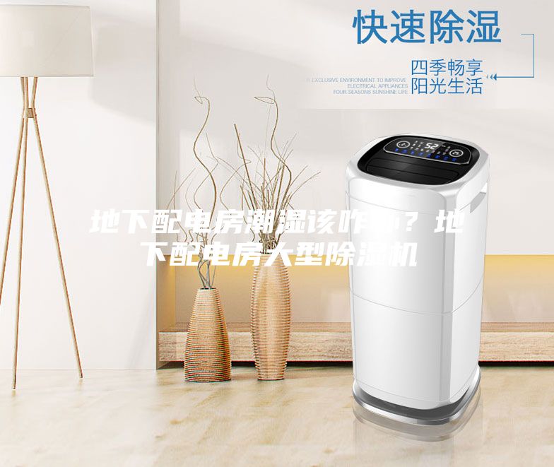 地下配电房潮湿该咋办？地下配电房大型除湿机