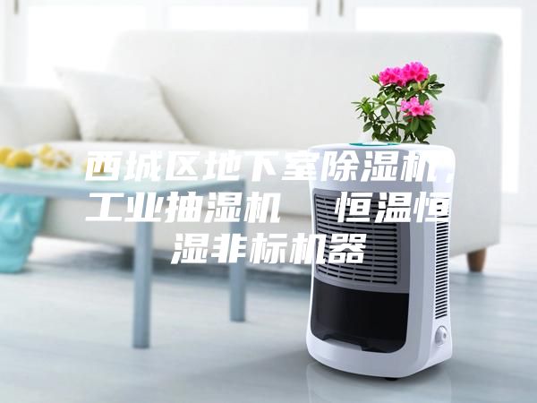 西城区地下室除湿机，工业抽湿机  恒温恒湿非标机器