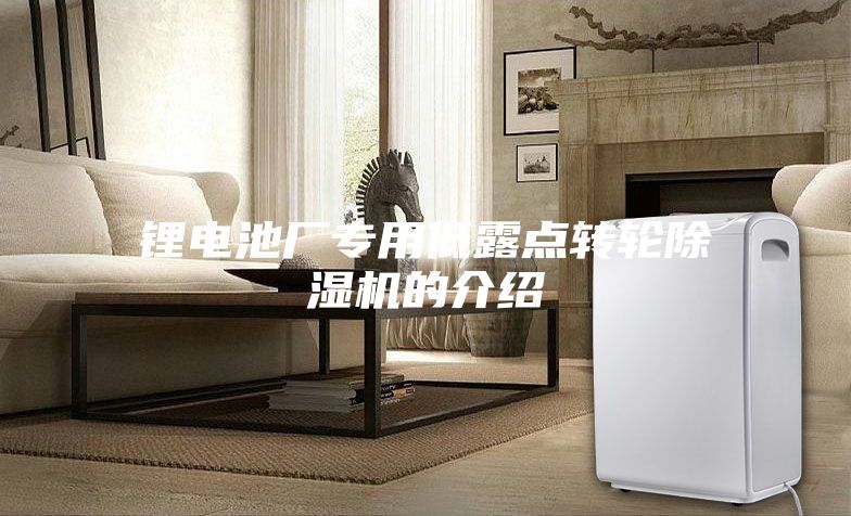 锂电池厂专用低露点转轮除湿机的介绍