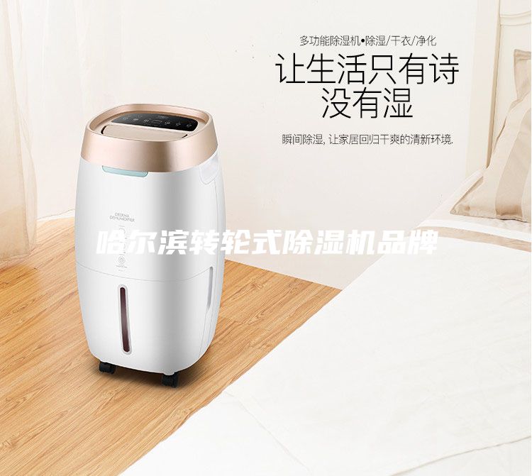 哈尔滨转轮式除湿机品牌